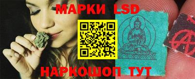 прущие грибы Славгород