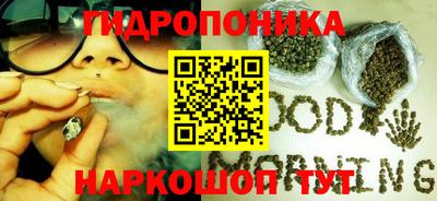 прущие грибы Славгород