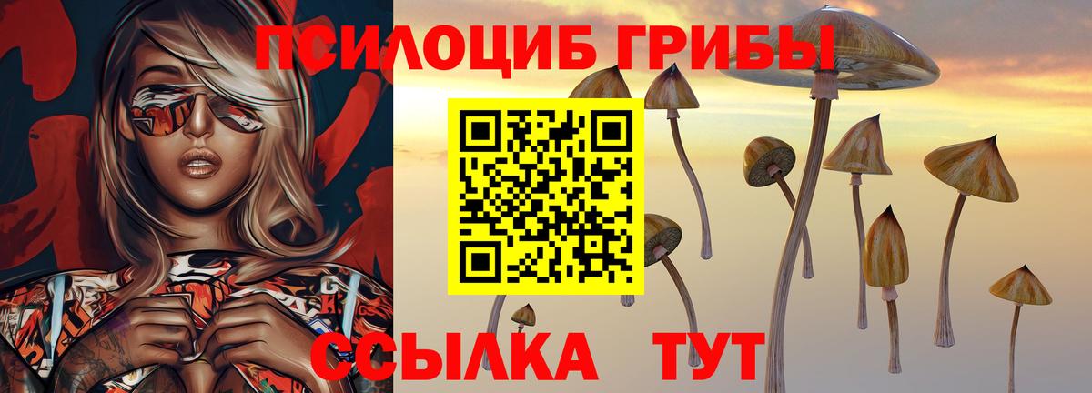 Псилоцибиновые грибы Magic Shrooms Уварово